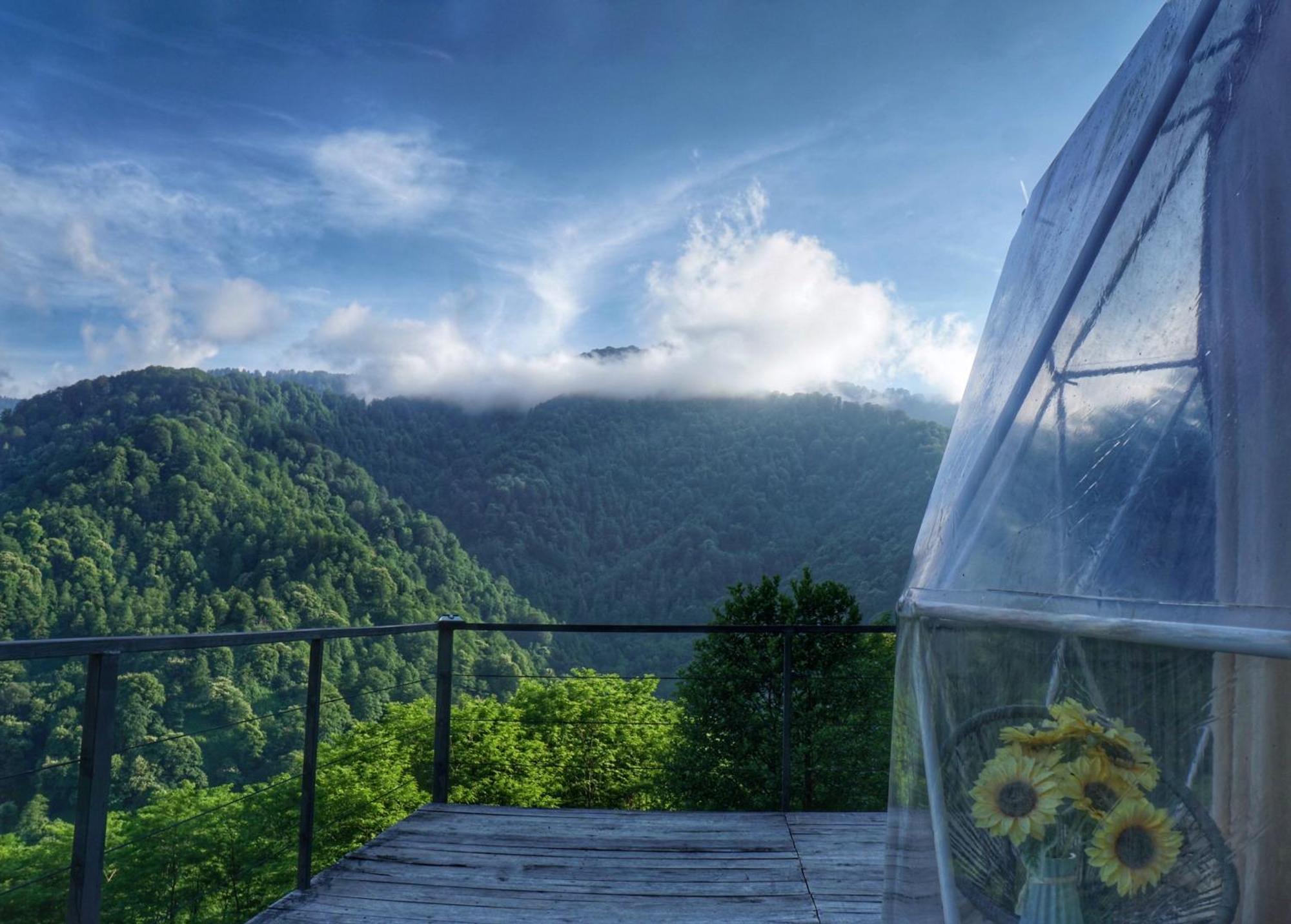 Mtirala Glamping Ξενοδοχείο Chakvistavi Εξωτερικό φωτογραφία